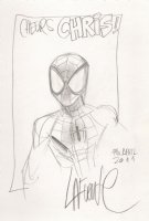 David Lafuente - Spider-Man Comic Art